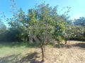 Продава ПАРЦЕЛ, гр. Варна, Изгрев, снимка 7