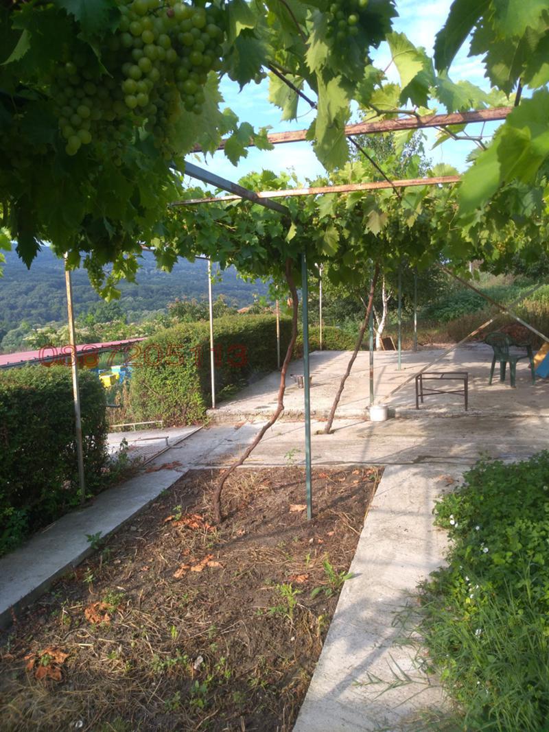 Продава ПАРЦЕЛ, с. Батово, област Добрич, снимка 3 - Парцели - 53743492