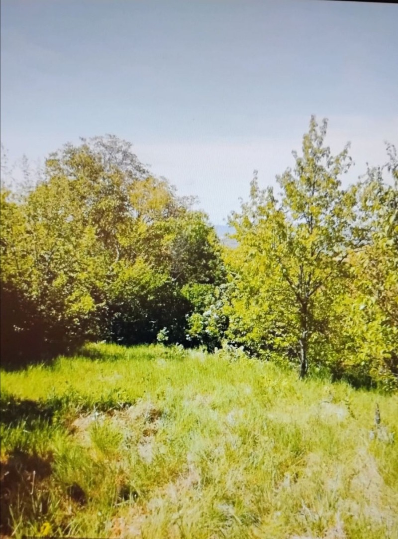 Продава  Парцел област Перник , с. Кондофрей , 1360 кв.м | 34499331 - изображение [3]