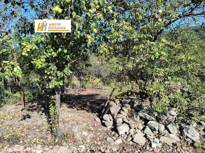 For Sale  Plot region Veliko Tarnovo , Prisovo , 999 sq.m | 59318074 - image [3]