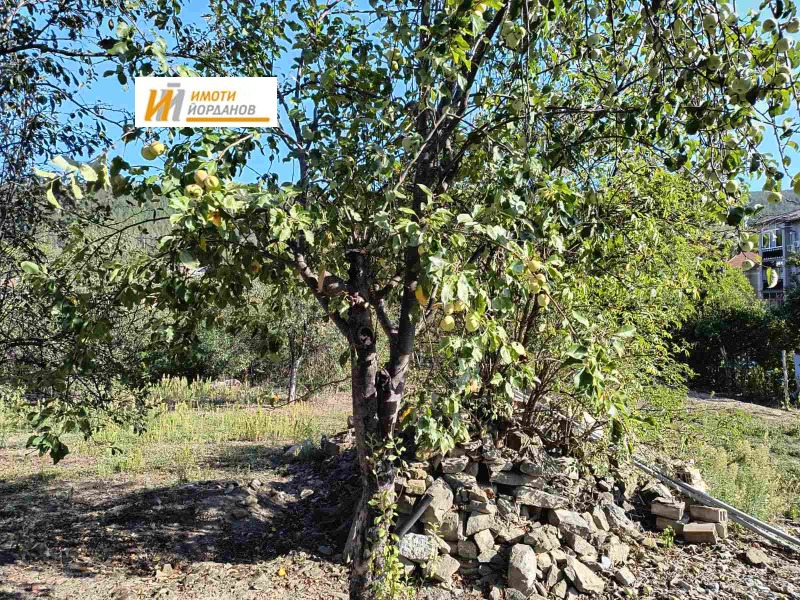 For Sale  Plot region Veliko Tarnovo , Prisovo , 999 sq.m | 59318074 - image [5]