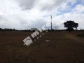 Продава ПАРЦЕЛ, с. Слънчево, област Варна, снимка 2