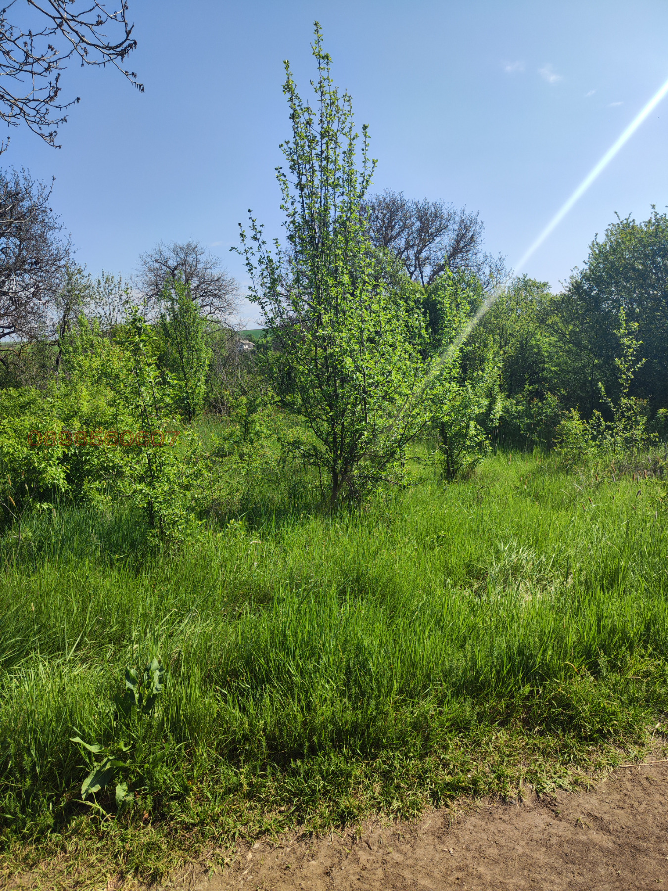 ������� ������ | Imot.bg � ����������� 1