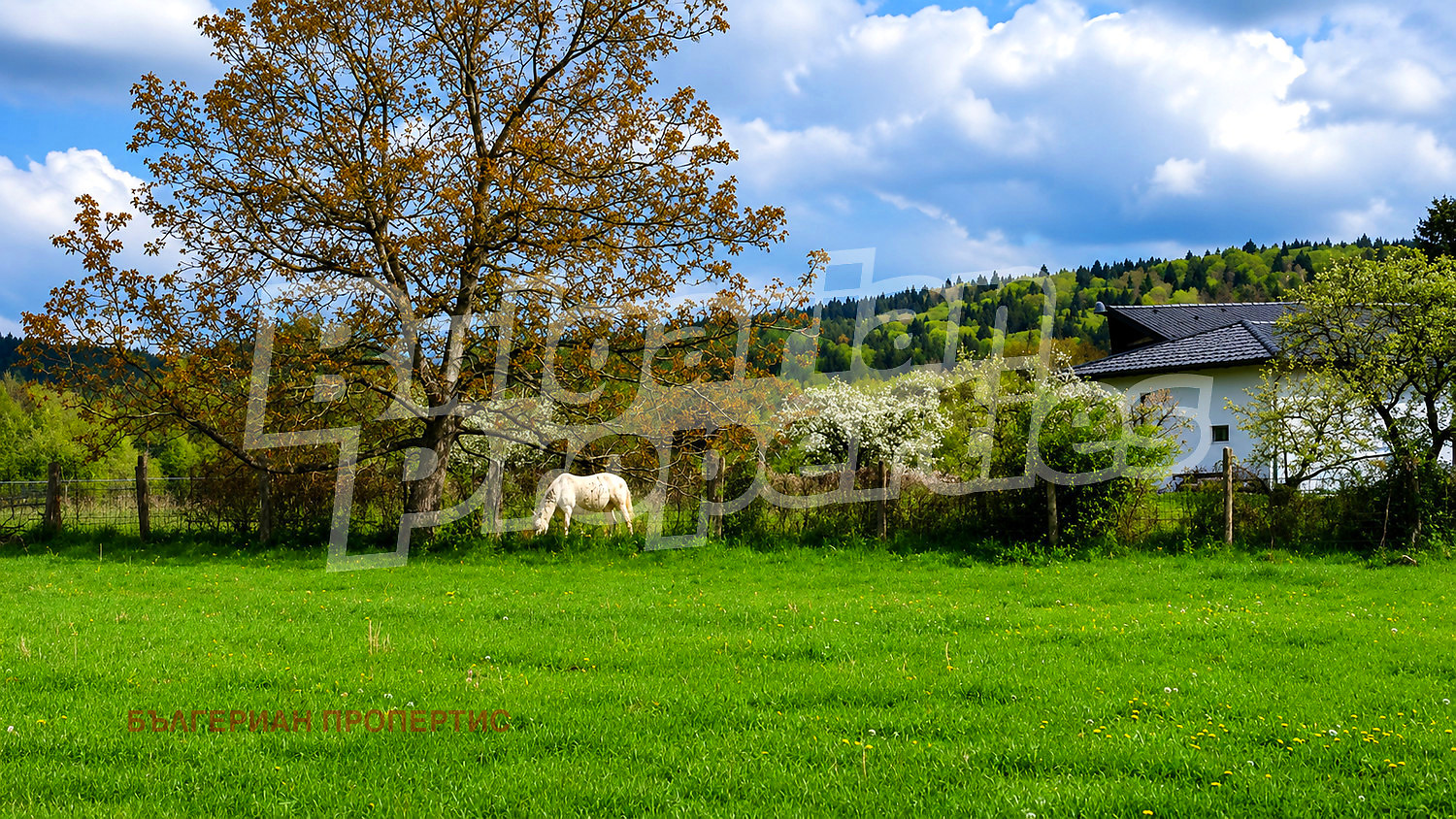 ������� ������ | Imot.bg � ����������� 5