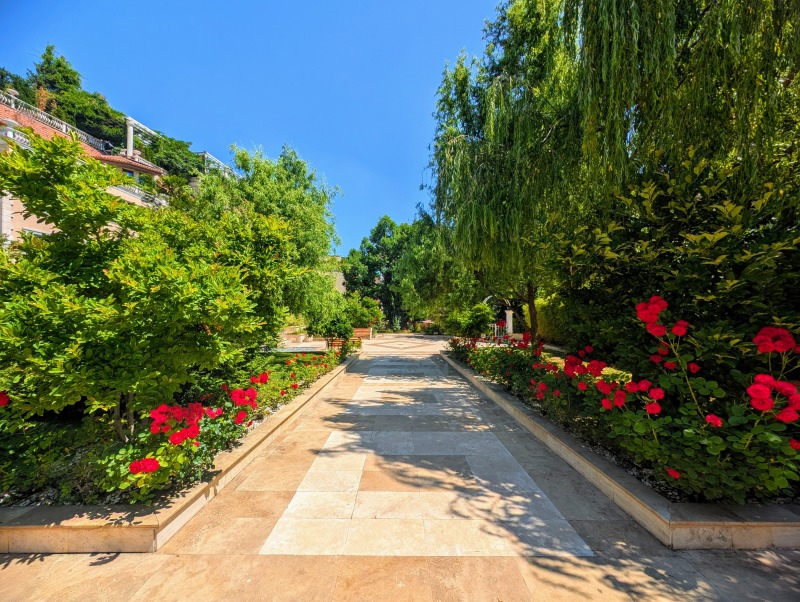 De vânzare  3 dormitoare Sofia , Vitoșa , 160 mp | 28016621