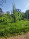 Продава ПАРЦЕЛ, гр. Сливница, област София област, снимка 1