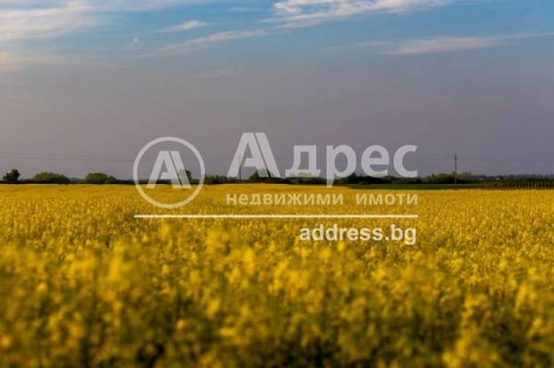 Til salg  Grund Sofia , Dolni Bogrov , 2399 kvm | 59626778