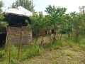 Продава КЪЩА, с. Янтра, област Велико Търново, снимка 5
