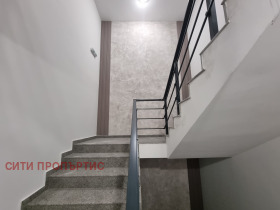 ����� ������� 3-�����,���� �����������, ������������