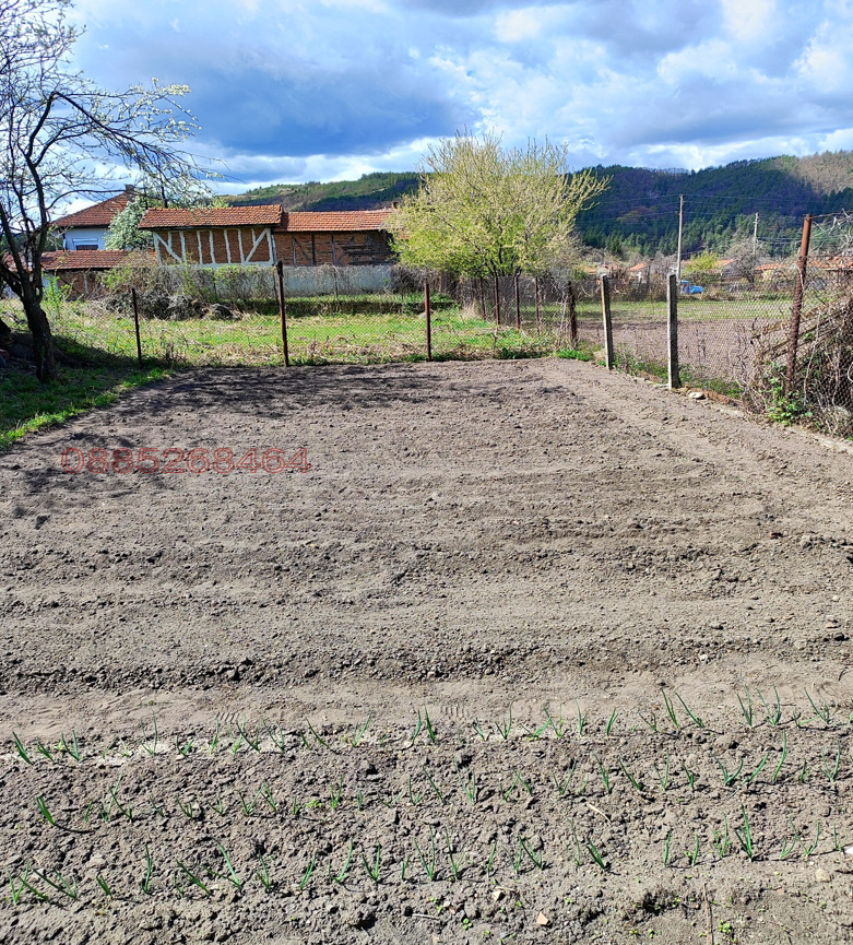 Продава КЪЩА, с. Радуил, област София област, снимка 9 - Къщи - 52781761