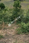 Продава ПАРЦЕЛ, гр. Варна, м-т Планова, снимка 1