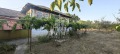 Продава КЪЩА, област Варна, с. Кривня • 41440 € / 81049.60 лв. • 29882628 10