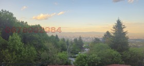 ����� ������� ������,���� �����, ����������