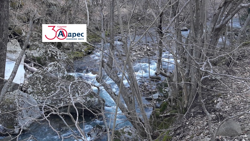 Satılık  Ev bölge Veliko Tarnovo , Elena , 140 metrekare | 43062970 - görüntü [17]