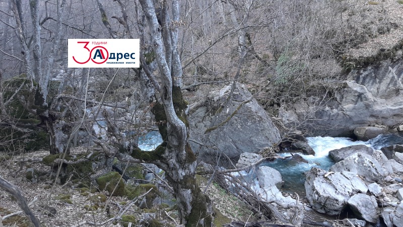Satılık  Ev bölge Veliko Tarnovo , Elena , 140 metrekare | 43062970 - görüntü [16]