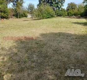 ����� ������� ������,�. �������, ������ ������