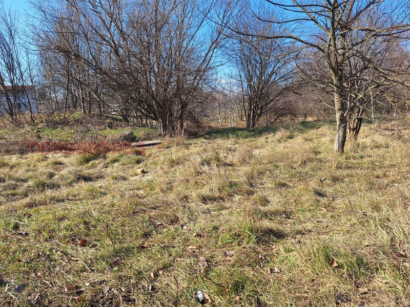 Myytävänä  Juoni Sofia , Volujak , 1121 neliömetriä | 49032604 - kuva [3]