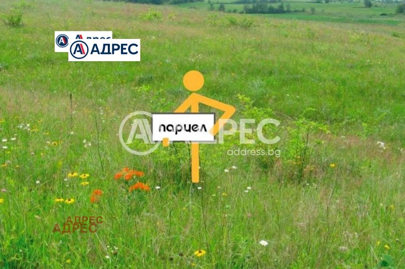 Продава ПАРЦЕЛ, с. Жеглица, област Видин