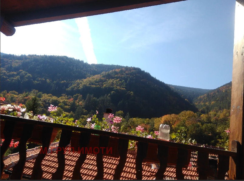 Продава КЪЩА, с. Орехово, област Смолян, снимка 5 - Къщи - 54260647