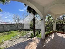 ����� ������� ����,���� �������, �������