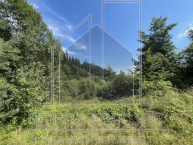 Grund yaz. Batak, region Pazardzhik