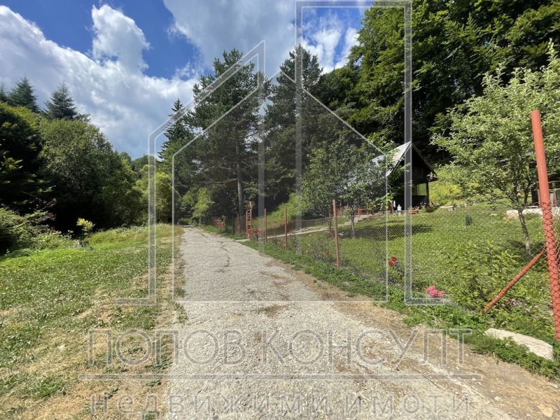 For Sale  Plot region Pazardzhik , yaz. Batak , 703 sq.m | 39387800 - image [9]