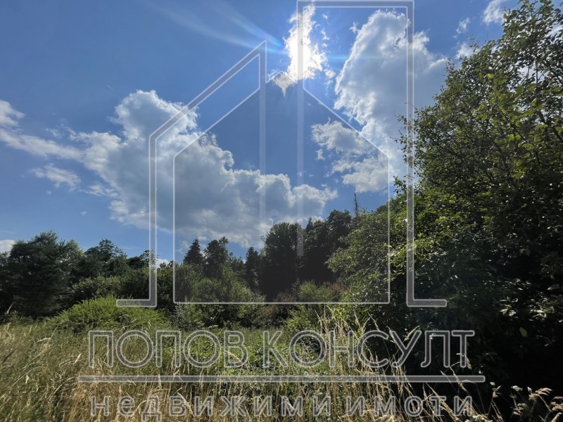 For Sale  Plot region Pazardzhik , yaz. Batak , 703 sq.m | 39387800 - image [8]