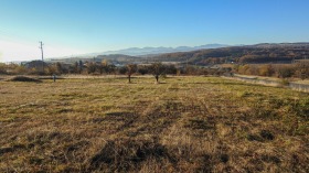 ����� ������� ������,�. �������, ������ �����