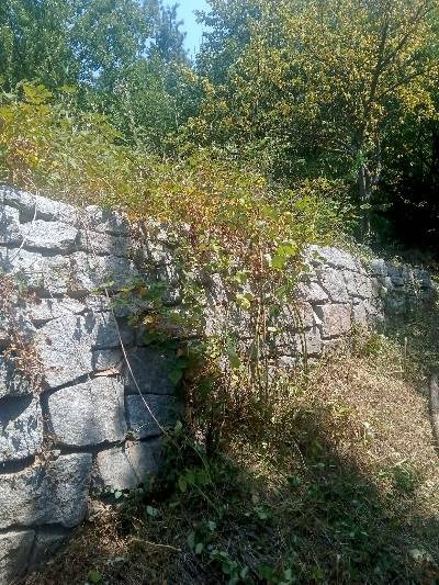 Продава ПАРЦЕЛ, гр. София, с. Мърчаево, снимка 7 - Парцели - 52745677