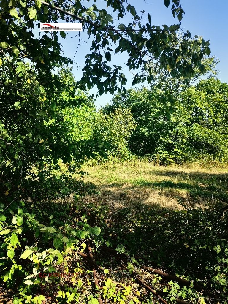 Eladó  Cselekmény Sofia , Suhodol , 1000 négyzetméter | 98059188