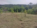 Продава КЪЩА, област Велико Търново, с. Пчелище • 53500 € • 43068821 — Holmes.bg
