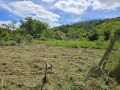 Продава КЪЩА, област Велико Търново, с. Пчелище • 53500 € • 43068821 — Holmes.bg