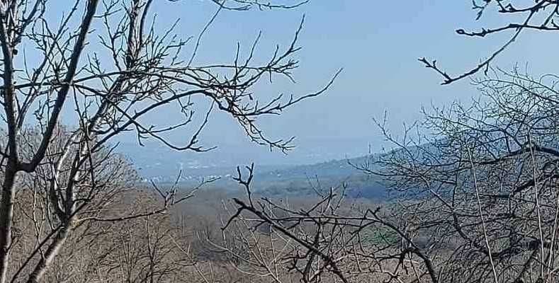 Продава ПАРЦЕЛ | Imot.bg — изображение 2