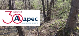 ����� ������� ������,��. �����, ������ ������ �������