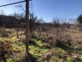 Продава КЪЩА, област Стара Загора, с. Памукчии • 50000 € • 56885254 — Holmes.bg