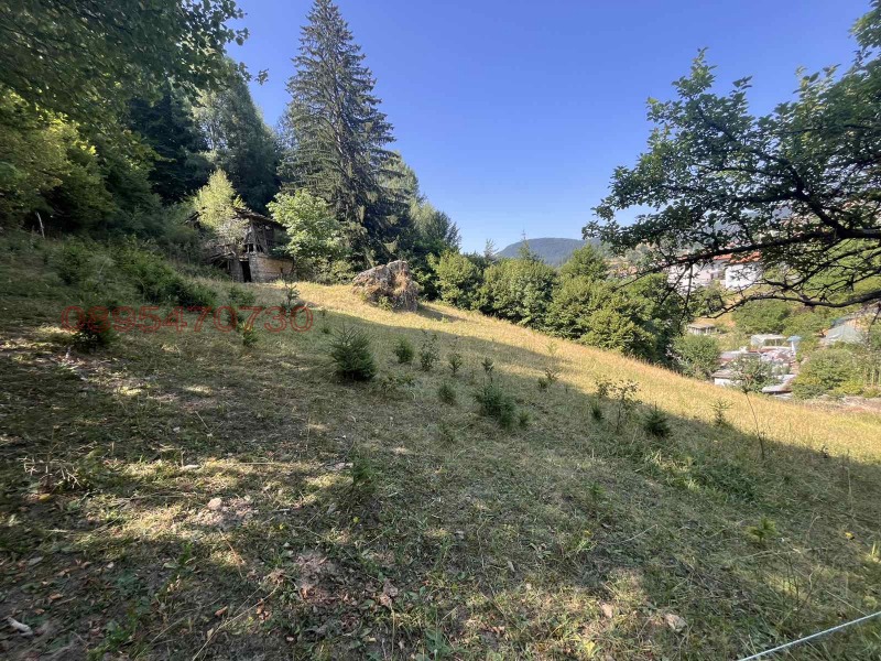 Продава ЗЕМЕДЕЛСКА ЗЕМЯ, с. Момчиловци, област Смолян, снимка 6 - Земеделска земя - 53583067