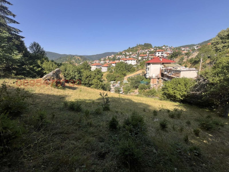 Продава ЗЕМЕДЕЛСКА ЗЕМЯ, с. Момчиловци, област Смолян, снимка 5 - Земеделска земя - 53583067