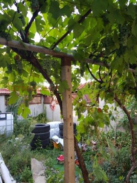 ������� ���� | Imot.bg � ����� ������ 7