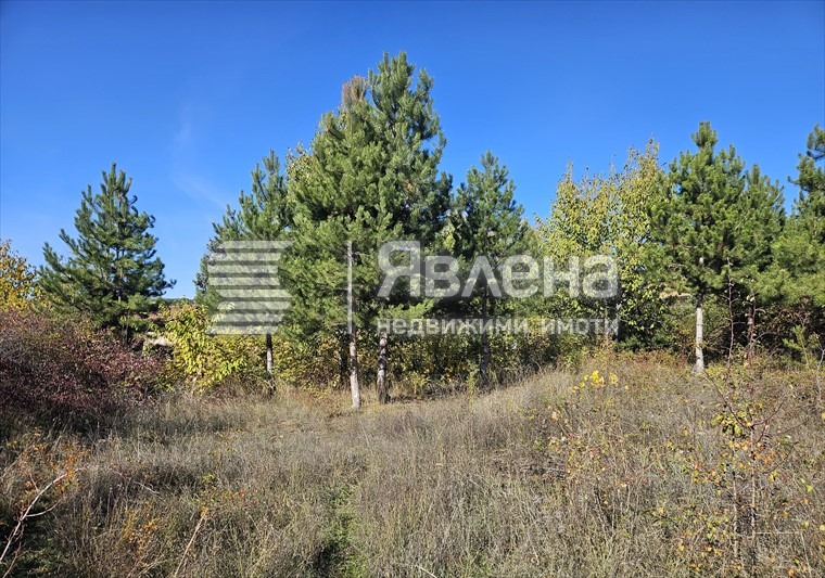 Продава ПАРЦЕЛ, гр. София, гр. Нови Искър, снимка 7 - Парцели - 54416303