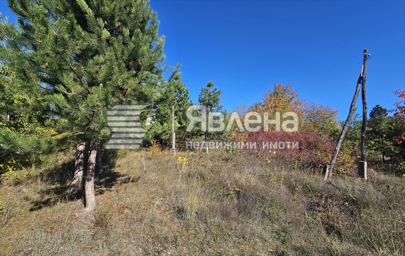 Продава ПАРЦЕЛ, гр. София, гр. Нови Искър, снимка 6 - Парцели - 54416303