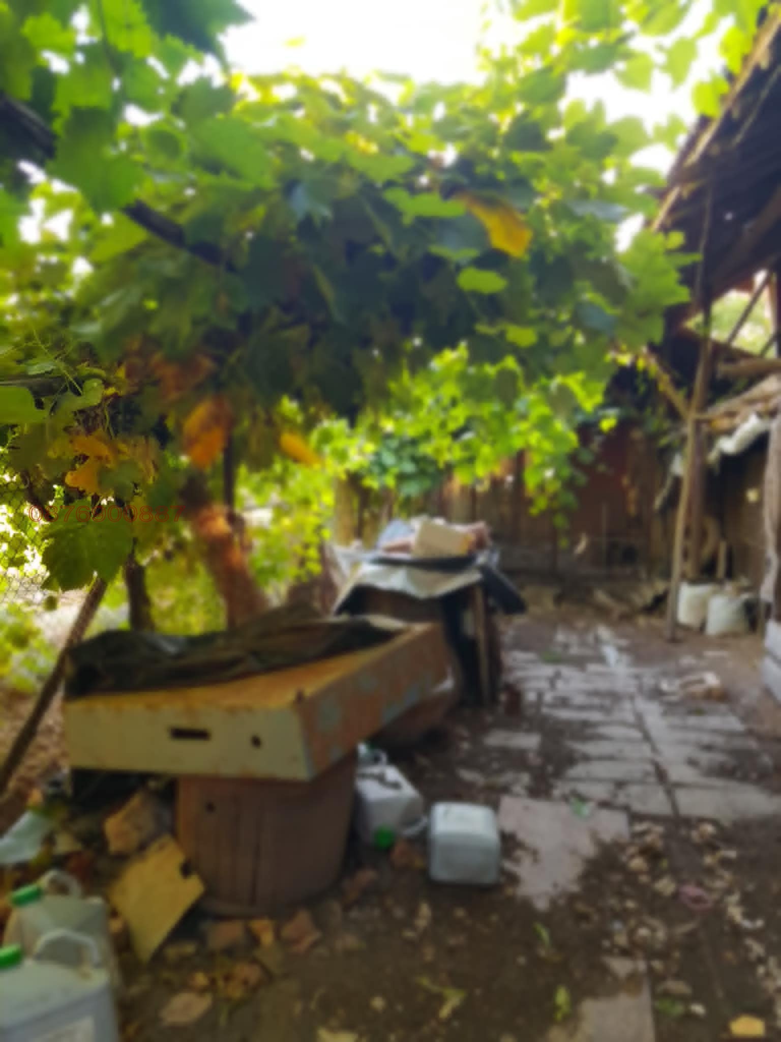 Продава КЪЩА, гр. Исперих, област Разград, снимка 10 - Къщи - 55038713