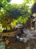 Продава КЪЩА, гр. Исперих, област Разград, снимка 10
