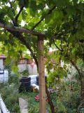 Продава КЪЩА, гр. Исперих, област Разград, снимка 7