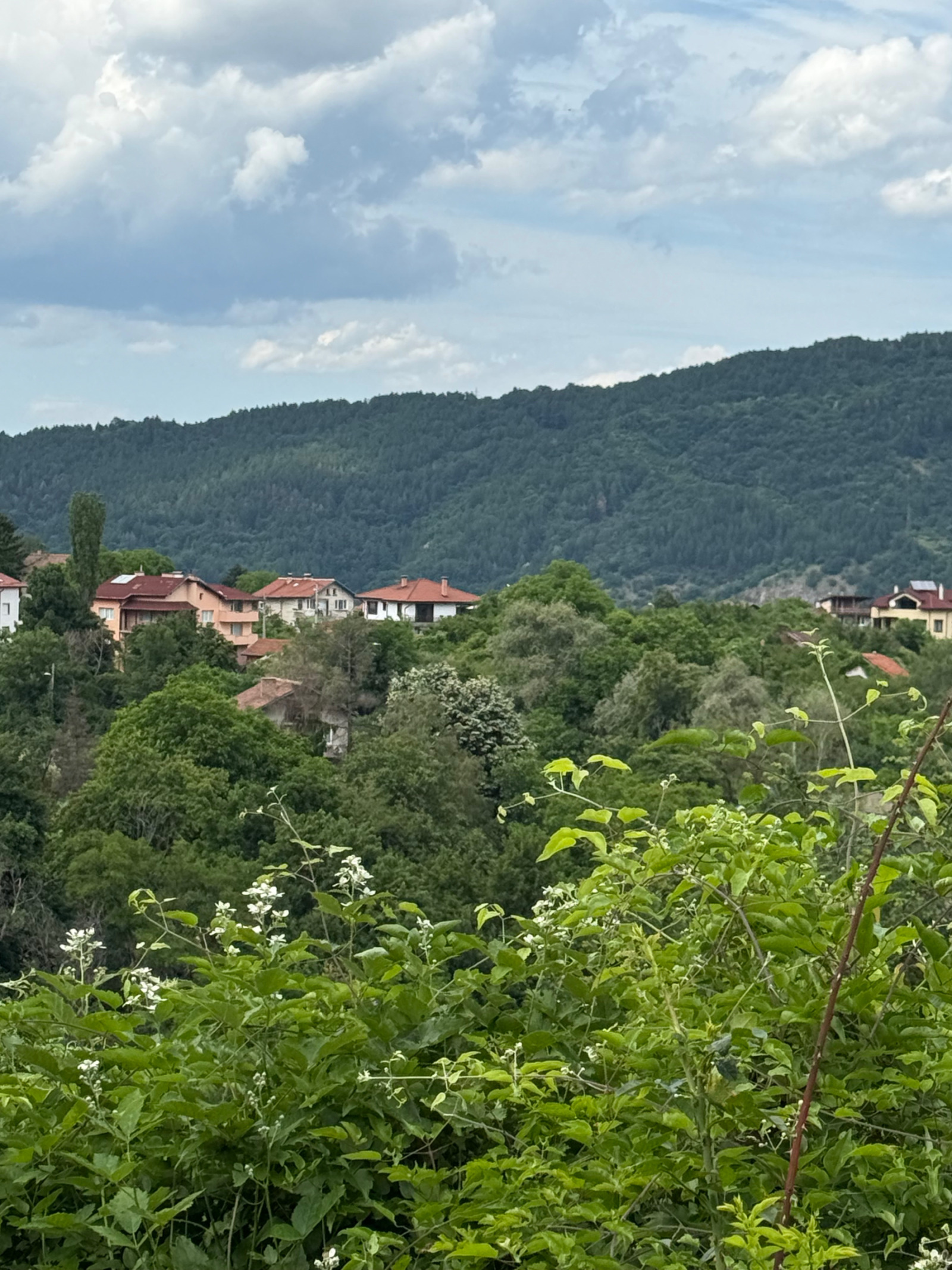 Продава ПАРЦЕЛ, гр. София, с. Кокаляне, снимка 2 - Парцели - 54976563