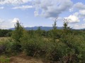 Продава ПАРЦЕЛ, област Ловеч, гр. Априлци • 100000 лв. • 37094582 — Holmes.bg