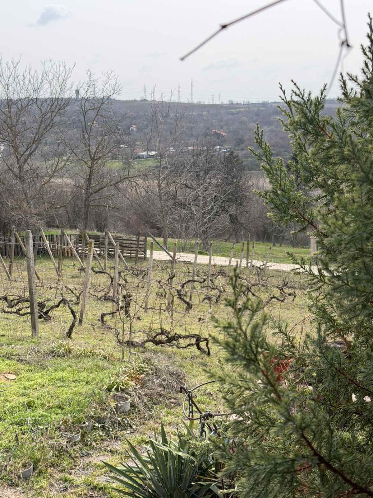 ������� ���� | Imot.bg � ����������� 5