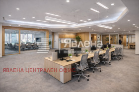 ����� ������� ����,���� �����, ������