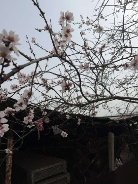 ������� ���� | Imot.bg � ����� ������ 7