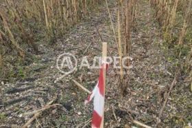 ������� ������ | Imot.bg � ����� ������ 2
