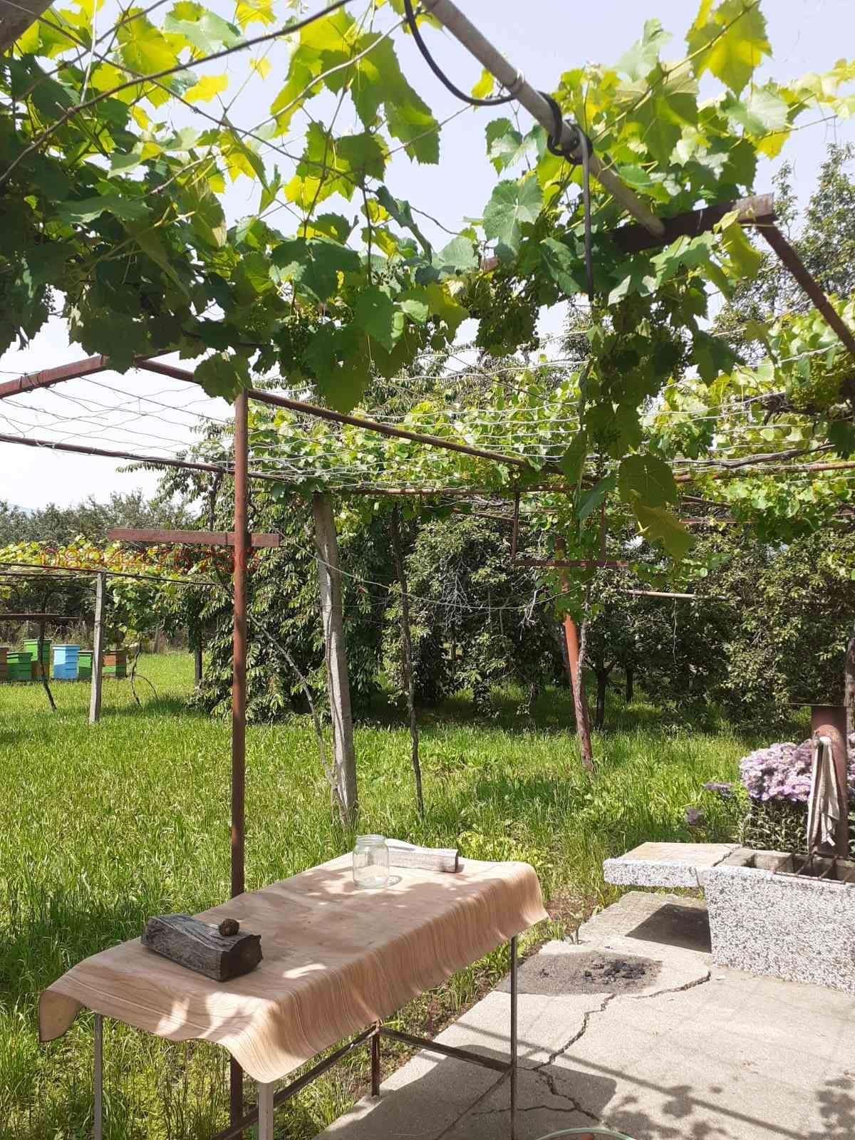 Продава КЪЩА, с. Николичевци, област Кюстендил, снимка 5 - Къщи - 53773201